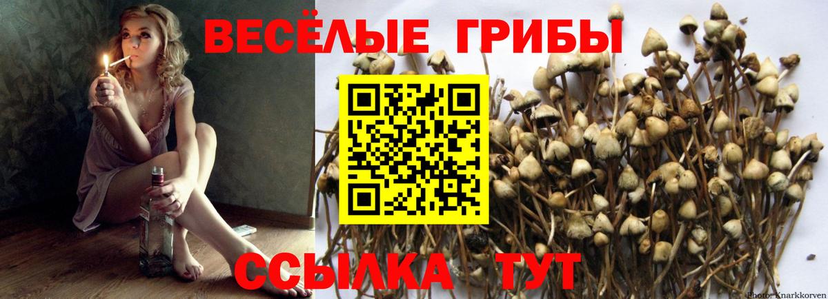 Татарск  Псилоцибиновые грибы мухоморы  Вход с VPN  Галлюциногенные грибы Cubensis 