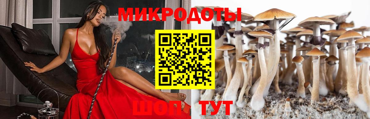 Галлюциногенные грибы прущие грибы Татарск